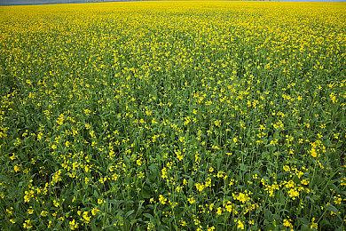 韩国砍杀ACT《Ultra Age》试玩版发布 9月9日上市